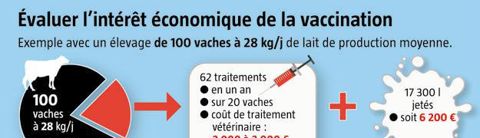Rentabilité.